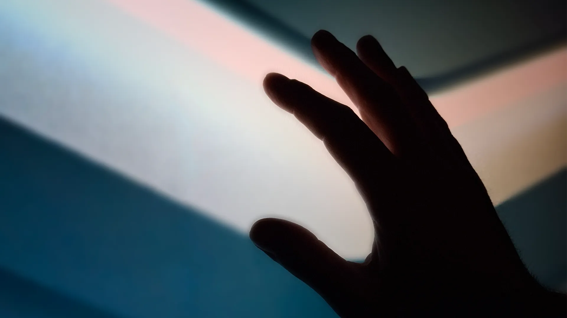 CEBRA Exponate und Kommunikationsmedien